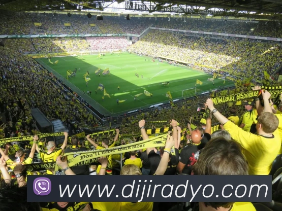 奖项4